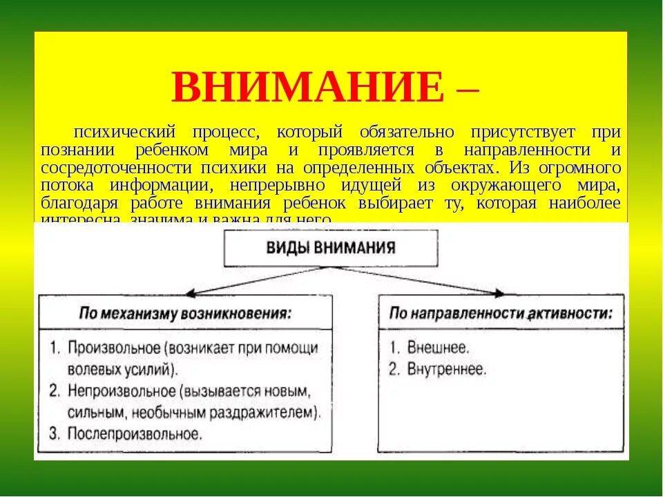 Память как психический познавательный