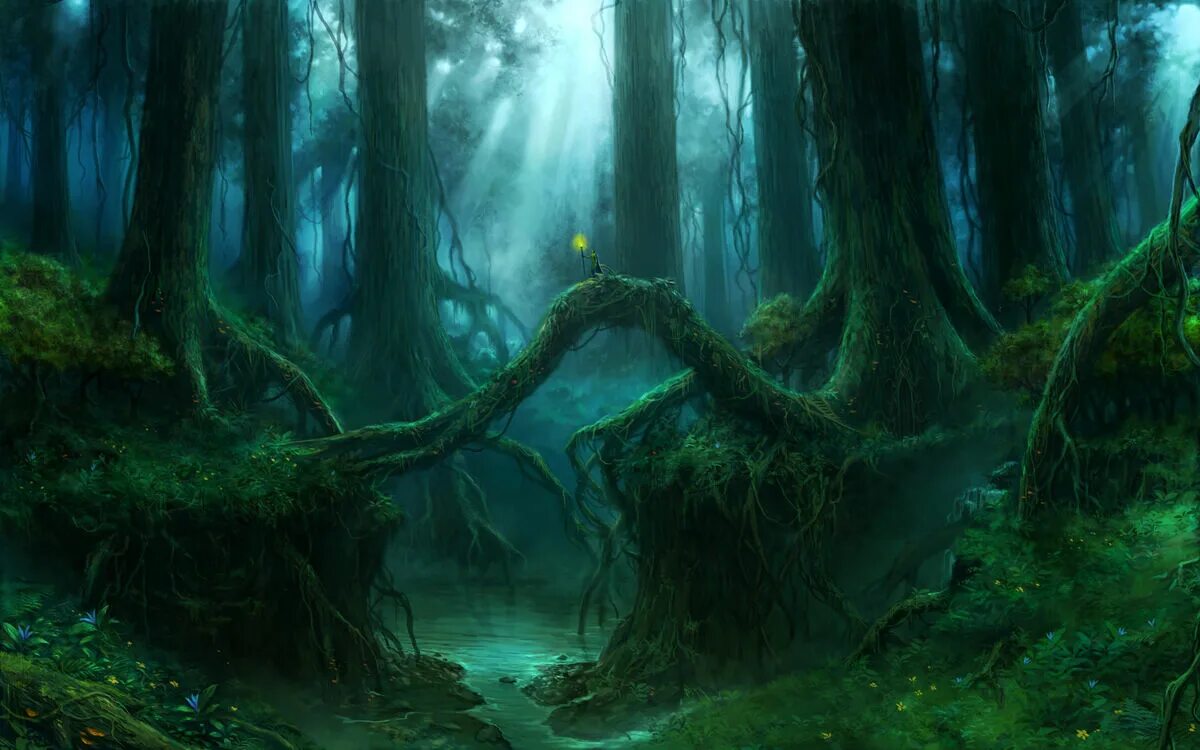 Forest Reflections - Spirit 5: Song Lyrics, Music Videos & Concerts