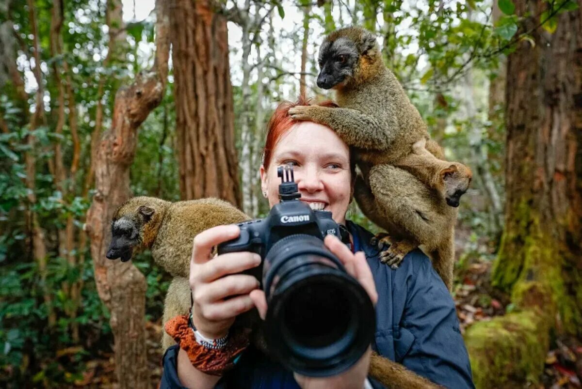 People and wildlife. Фотограф диких животных. Фотоохота на животных. Фотографы животных в дикой природе. Человек фотографирует животных.