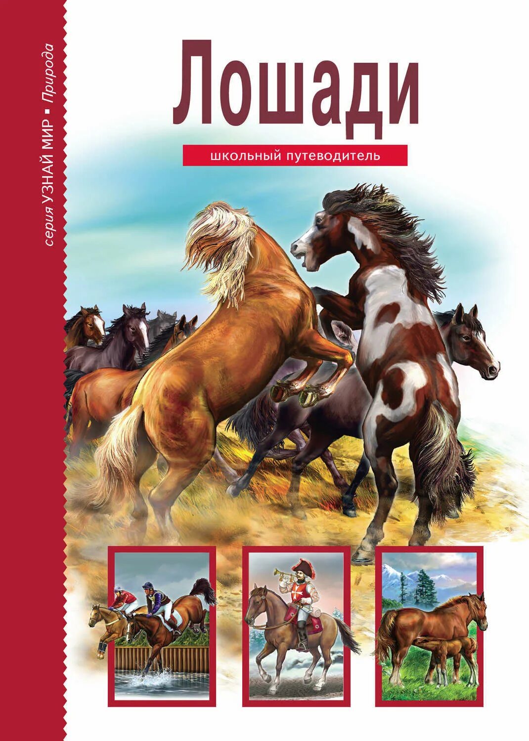 Книги про лошадей. Лошади. Школьный путеводитель.. Детские книги про лошадей.