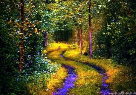 Find full path