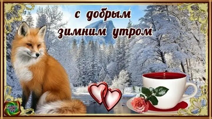 Музыкальные пожелания с добрым зимним утром. Открытки с добрым утром зимние с животными. открытки с добрым утром зимние. доброе зимнее утро с животными. пожелания доброго зимнего утра.