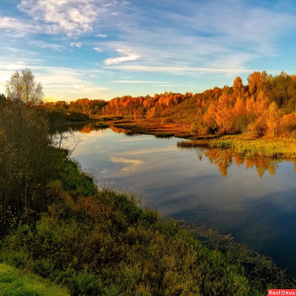 Речка покша. Река Покша Костромская область. Река Покша. Природа Костромской области. Природа Костромского края.