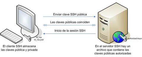 Their offer ssh rsa