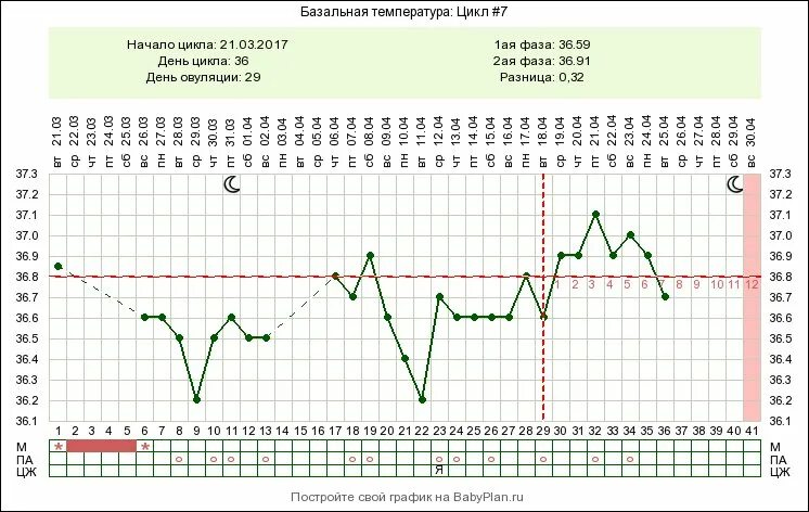 Беременный цикл базальной температуры. Базальная температура 36.3. График базальной температуры при СПКЯ. 10 День цикла базальная температура 36.3. Что значит базальная температура