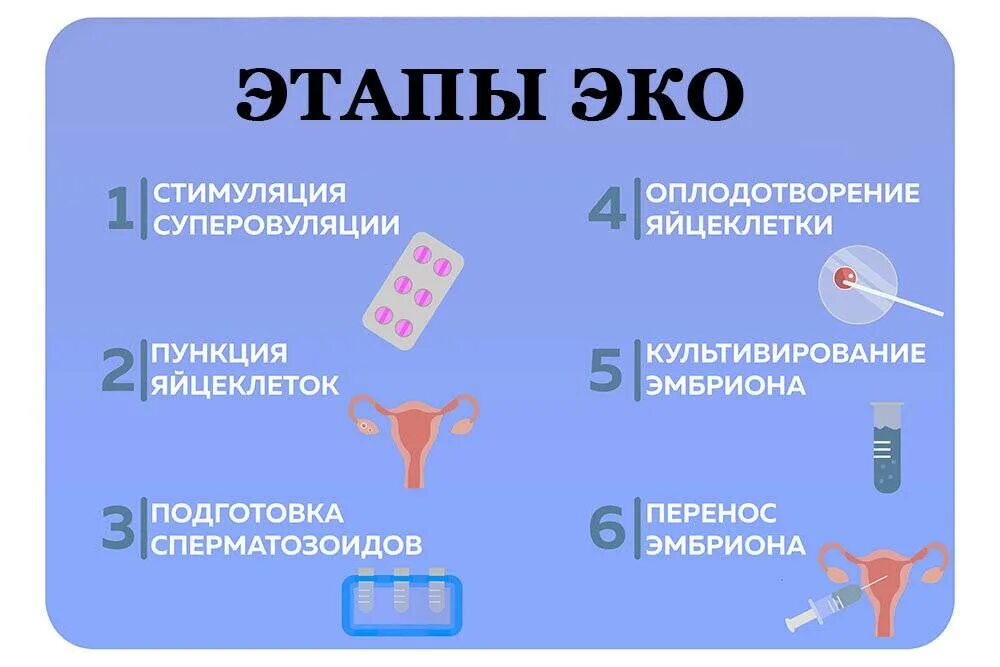 Этапы эко. Эко оплодотворение этапы. Этапы процедуры эко. Основные этапы экстракорпорального оплодотворения.