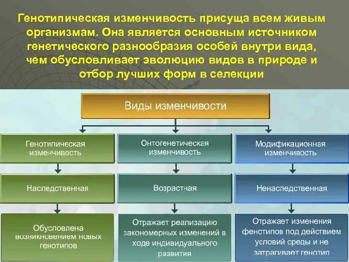 Изменение генотипа и фенотипа вид изменчивости. Виды генотипической изменчивости. фенотипическая изменчивость. генотипическая изменчивость примеры. изменчивость фенотипическая и генотипическая модификационная.