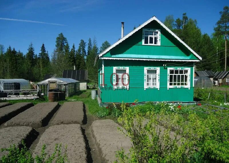 садовод севера. садовод севера. садовод севера. дача коряжма. коряжма романова снт первые садоводы.
