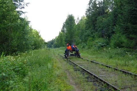 Погода в жарковском тверской рп5