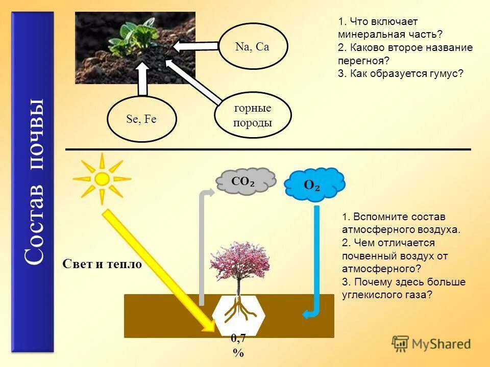 почва состоит из. таблица зональных типов почв россии география. элементы в почве. воздух в почве. воздуха почвы и т.