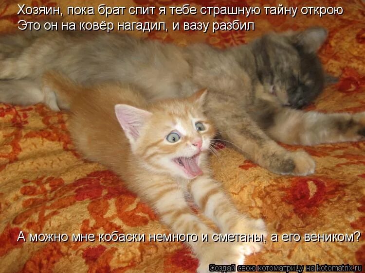 пробудитесь мои хозяева. эй просыпайся. я очень зол. просыпайся мой хозяин я. я зол я очень зол.