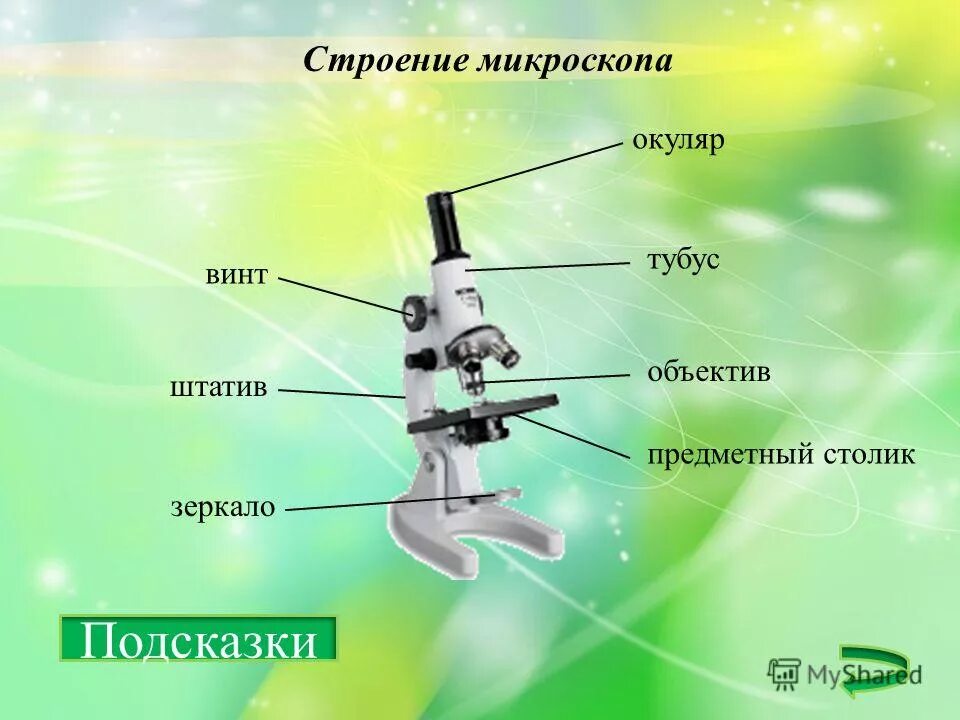 Строение микроскопа линзы. Биология 5 кл строение микроскопа. строение окуляра микроскопа. строение микроскопа 6. что такое окуляр в микроскопе 5 класс биология.
