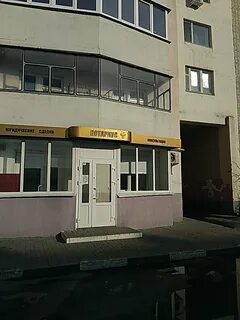 Нотариусы белгородская область