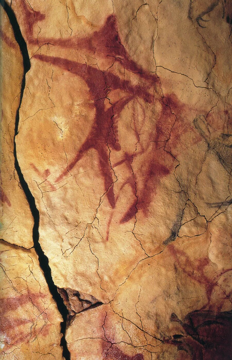 Бизон пещера альтамира испания. Наскальные рисунки испания. Пещера альтамира (сантадера). Зал быков пещера альтамира. Пещера альтамира наскальная живопись.