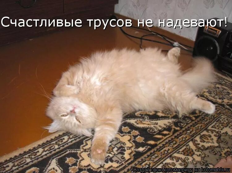 надел радостно