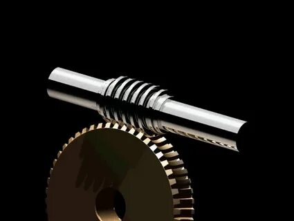 Worm drive
