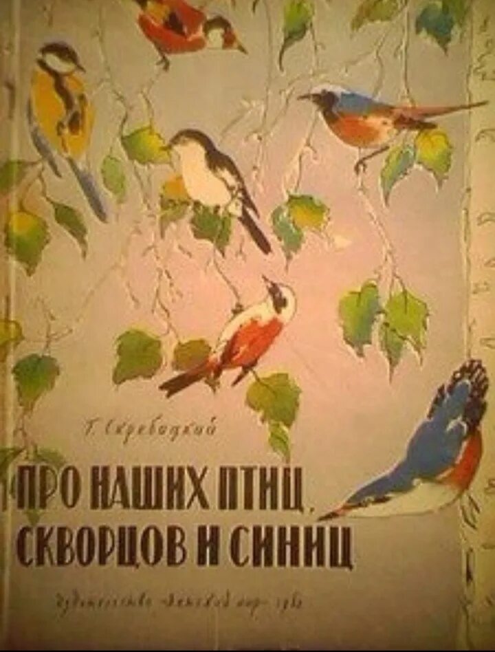 Чаплина крылатый будильник. Детские книги о синицах. Книги о птицах для детей. Детские книжки про птиц. Книги про синичек.