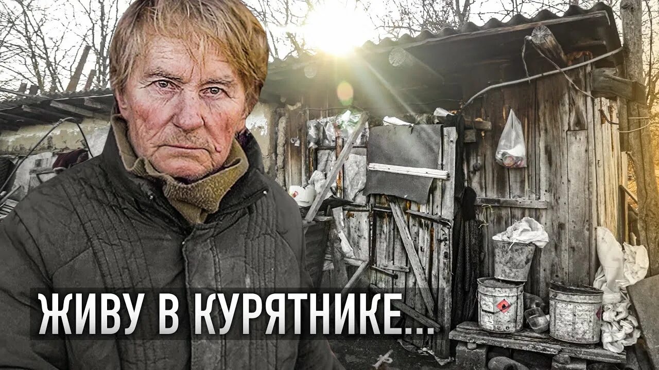 Деревенские куры. Бабушка в курятнике. Курочки в деревне. Курица старое фото. Хозяйство в деревне.