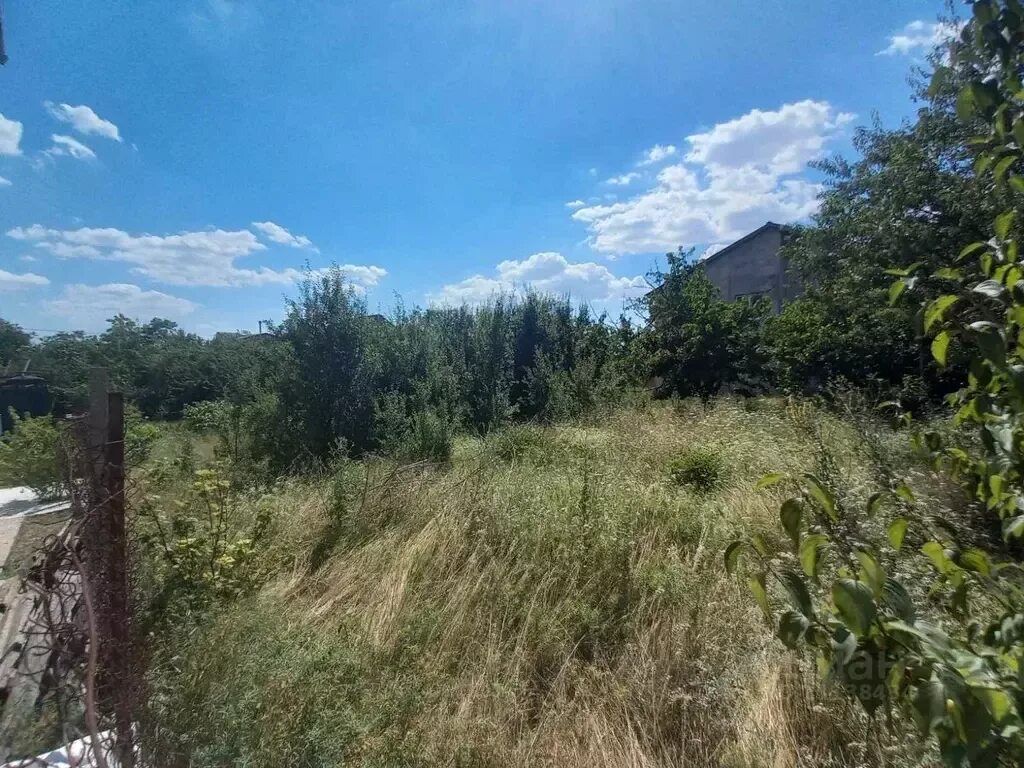 Село камышинка. Камышинка симферопольский.