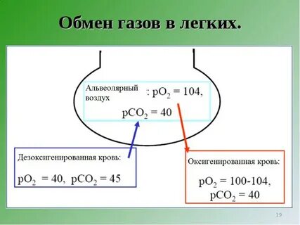 Схема газа обмена