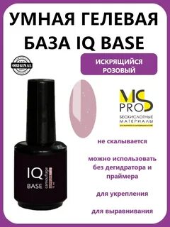 Iq баз