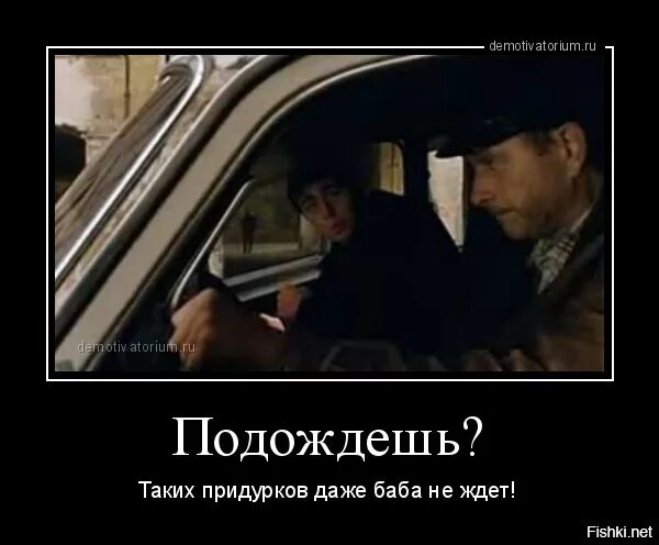 вокруг идиоты. время придурков. тупой и ещё тупее 1. люди дебилы цитаты. таких даже бабы не ждут.