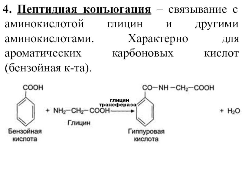 Бензойная кислота и глицин. Конъюгация бензойной кислоты. Обезвреживание бензойной кислоты в печени. Реакция образования бензойной кислоты.