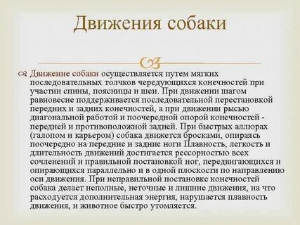 Характер движения собаки