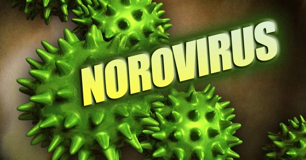 Норовирус. Норовирусной инфекции. Норовирусный гастроэнтерит. Норовирус картинки.