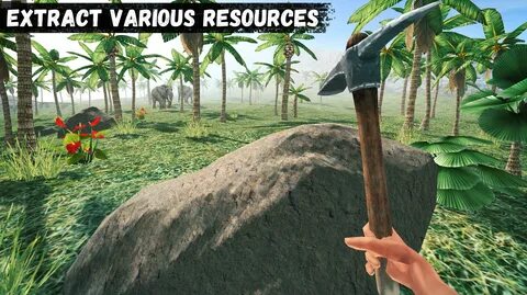 Survivor adventure