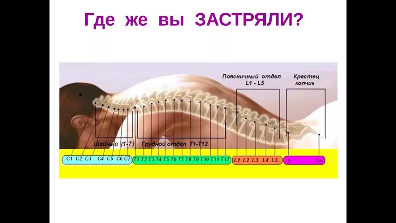 Поясница хей. Психосоматика позвоночник. Психосоматика болезней поясница. Психосоматикам позвоночник. Психосоматика позвоночник позвонки.