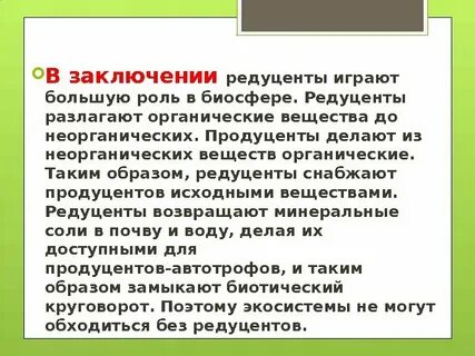 Какую роль выполняют редуценты в экосистеме