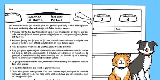 Pros and cons of keeping pets. Pet food Tester. Pets Worksheets for Kids my favourite Pet. Fashion show Pet Worksheet.