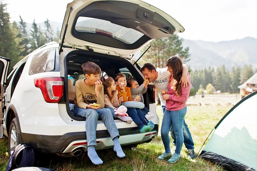 Налоги многодетных отцов. Налог многодетных семей. A Family Picnic in a car. Picnic car. Избавили от налога многодетных семей.