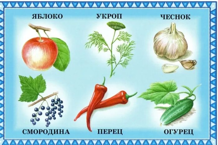 Укроп яблоко. Лото "фрукты". Ягоды лото картинки для детей. Перец смородина.