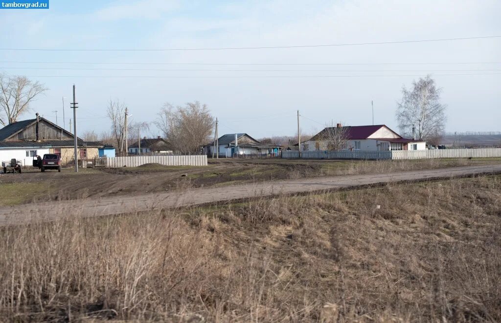 Погода п знаменском. Поселок Кузьминский Тамбовская область Знаменский район. Поселок Кузьминский. Тамбов Знаменский район Совхоз Кузьминский. Кузьминский деревня Сампурской.