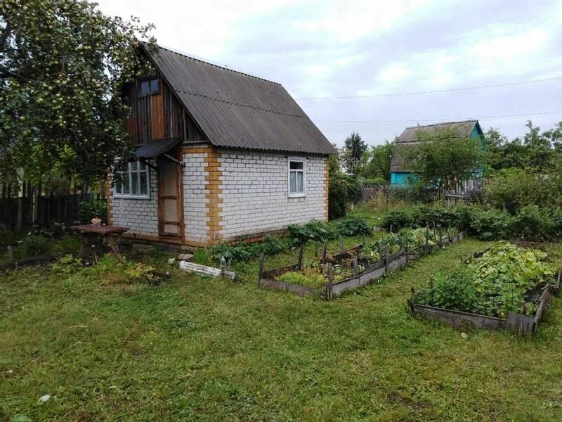 СНТ Черемушки Ульяновск. Дача Ульяновск. Дачный район Ульяновск. Дачный участок Ульяновск. Черемушки ульяновск