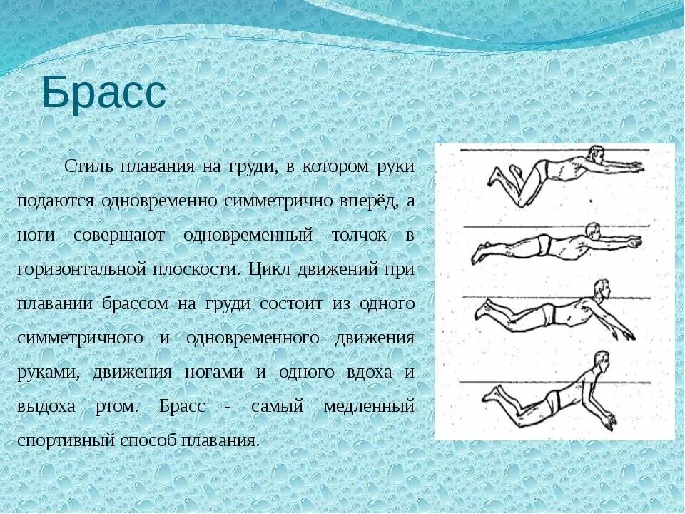 Что такое кроль. Техники плавания Кроль брасс и. Техники плавания брасс Кроль Баттерфляй. Стиль плавания брасс 4 класс. Стиль плавания брасс и Баттерфляй.