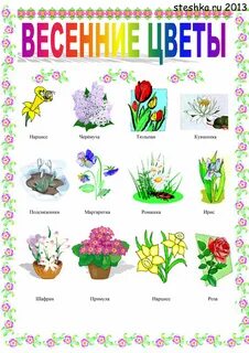 Детские рисунки цветов с названиями (49 фото) .
