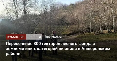 Лесные участки на землях иных категорий