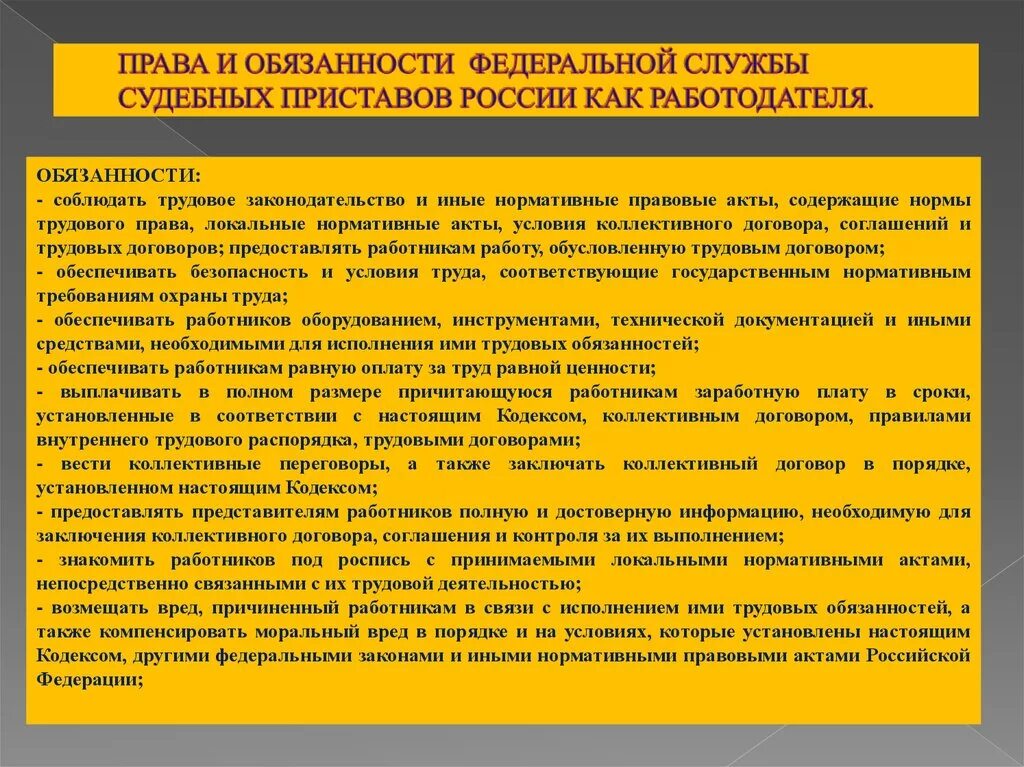 Полномочия главного пристава рф. Обязанности и полномочия ФССП. Полномочия и обязанности ФССП России.