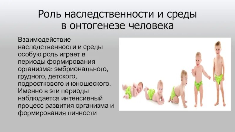 Роль наследственности в онтогенезе. Роль наследственности и среды. Наследственность и среда в онтогенезе. Роль наследственности и среды в развитии. Влияние окружающей среды наследственность