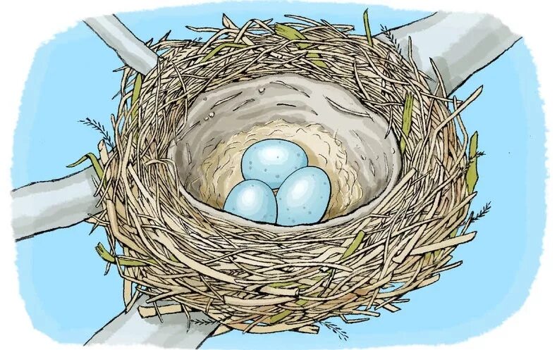 Nest testing