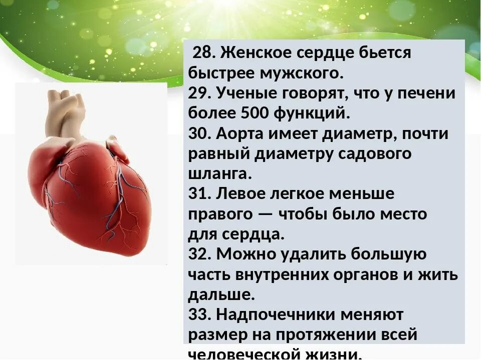 Как понять сердце. Сердце бьется. Из-за чего может быстро биться сердце. Почему сердце бьётся сильно.