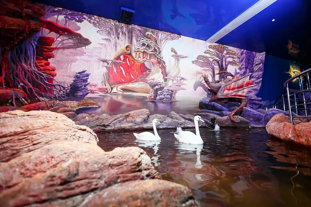 океанариум краснодар галактика. краснодарский океанариум ocean park. краснодар аквариум парк. анапа океанариум 2022. туннельный океанариум геленджик.