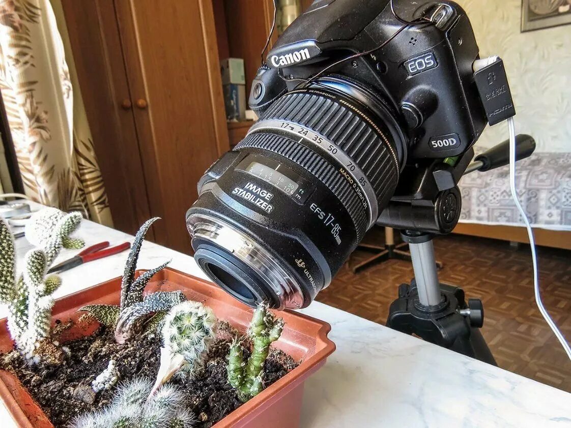 Фотограф фотографирует насекомое. Макрообъектив для canon. Макросъемка негативов. Nikon 40mm 2. Объектив для макросъемки canon-ef macro.