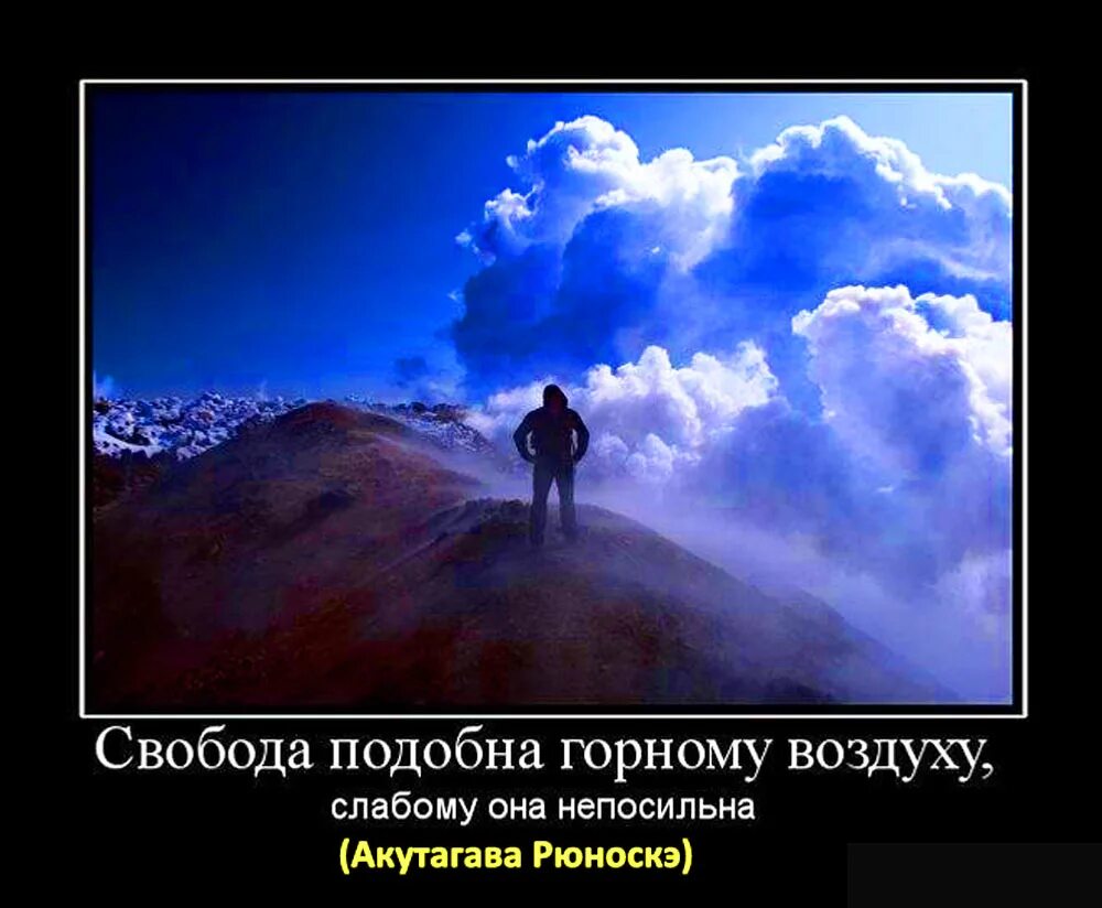 Далеко не зависимый. Свобода демотиваторы. Свобода картинки со смыслом. Демотиваторы про свободу со смыслом. Прикольные фразы про свободу.