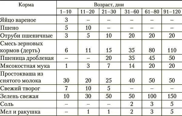 С какого возраста цыплят. Таблица рациона питания для индюков. Таблица корма для индюков. Рацион кормления индюков таблица. Таблица норма корм для индюков.