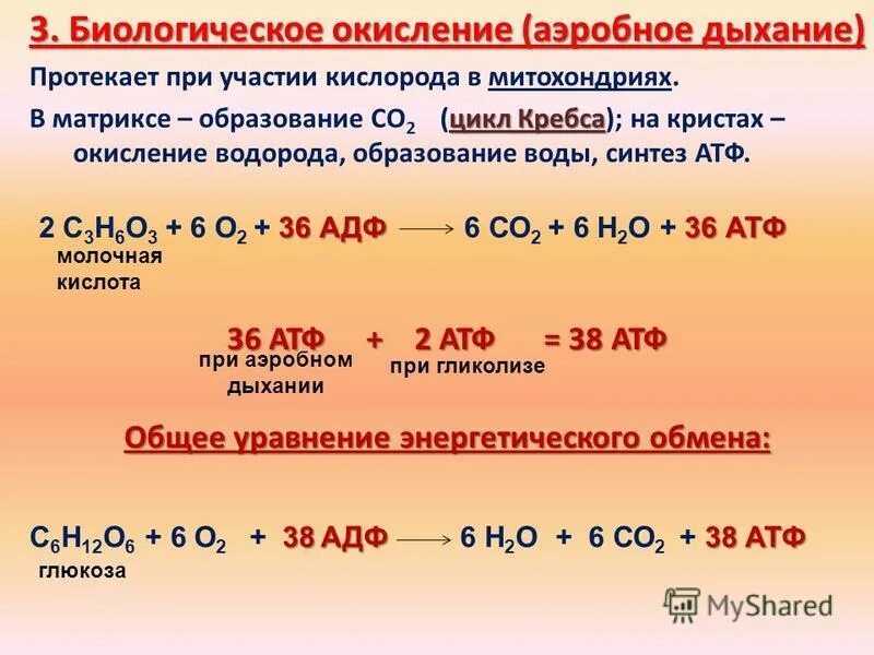 Уравнение бескислородного этапа энергетического обмена. Формула 2 этапа энергетического обмена. Этапы биологического окисления (энергетического обмена). Биологическое окисление формула. Окисление глюкозы кислородом реакция