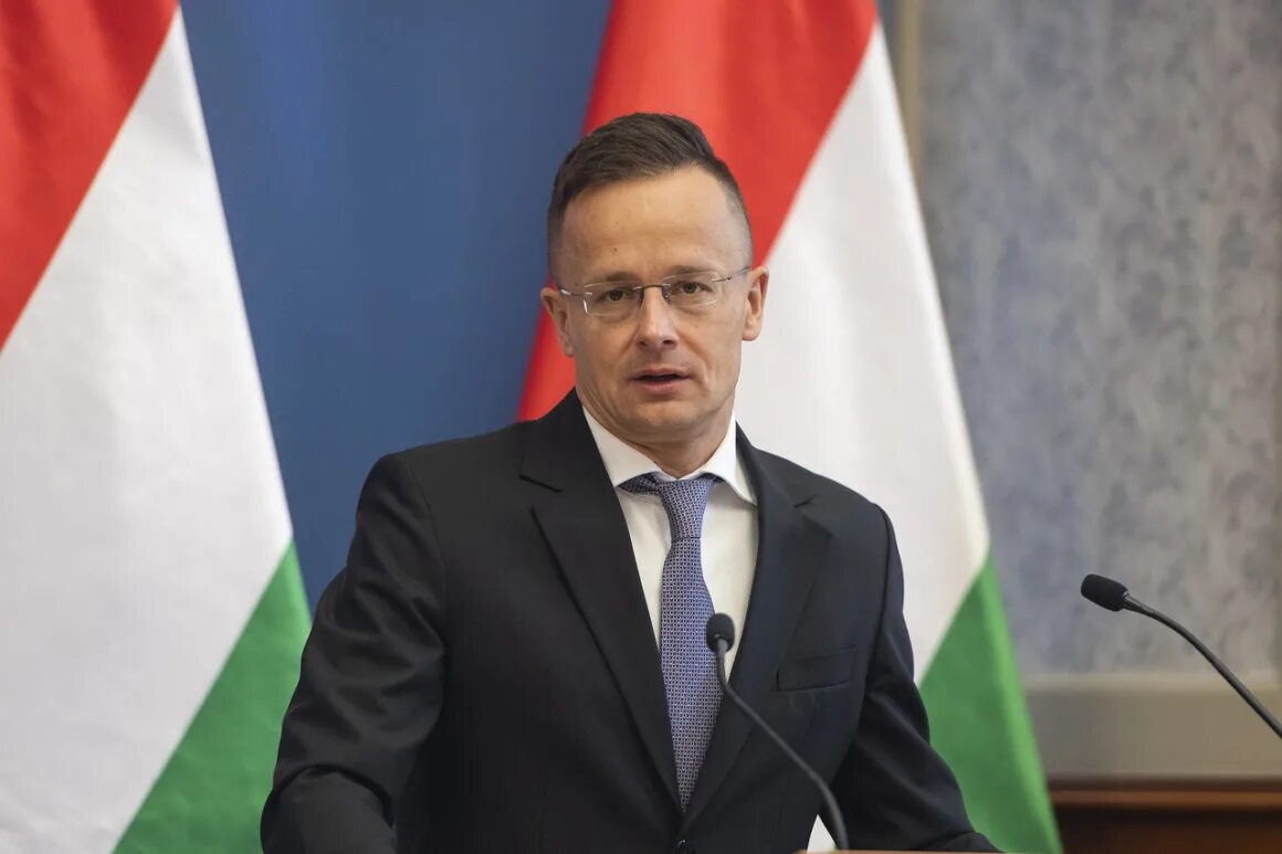 Петер Сийярто. Венгрия голосование. Петер медьеси, премьер-министр Венгрии. Петер Сийярто и Орбан.